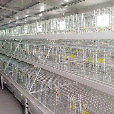 Resistente de alta temperatura da gaiola branca de prata da galinha de grelha com sistema da alimentação/EC
