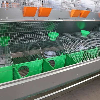 Gaiola de coelho da criação de animais com o coletor automático do tombadilho, alojamento comercial de prata do coelho