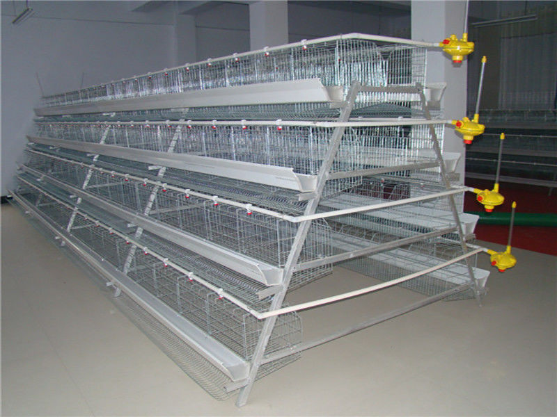96-160 pássaros um tipo eficiência de elevação alta automática completa da gaiola das aves domésticas