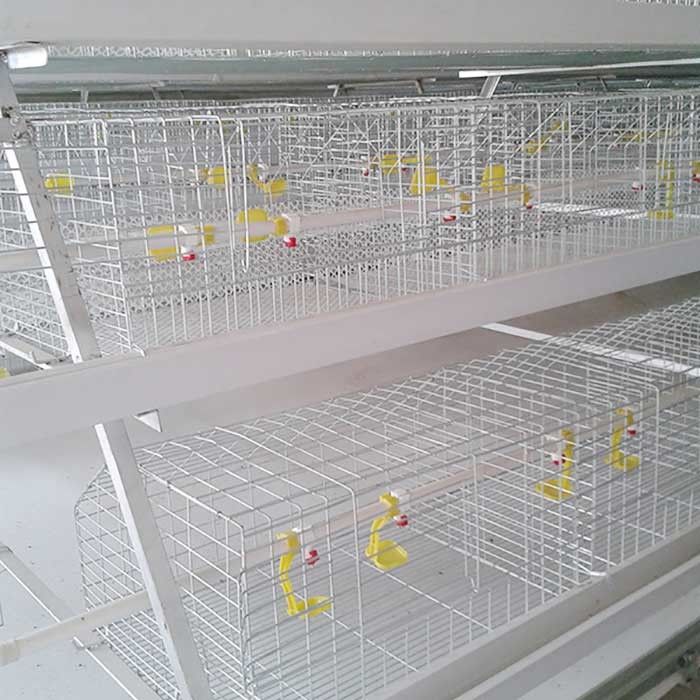 A gaiola de aço à prova de fogo para a galinha, aves domésticas internas da gaiola da exploração agrícola da grelha abriga
