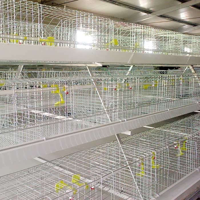 gaiola da galinha do metal 0.75kw, gaiolas a pilhas automatizadas do controle para aves domésticas