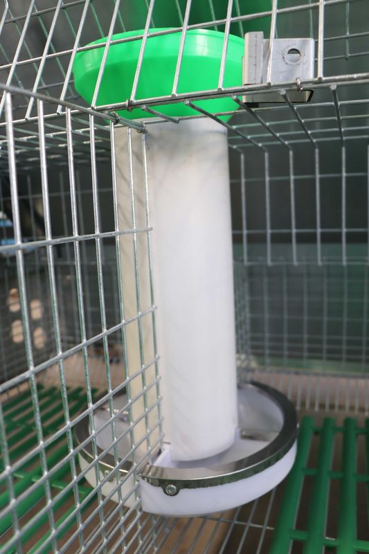 Gaiola de bateria de elevação alta do coelho da eficiência, gaiola de coelho do metal de 50 - 80 bebês