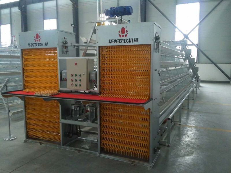 Henan Huaxing Poultry Equipments Co.,Ltd. linha de produção da fábrica