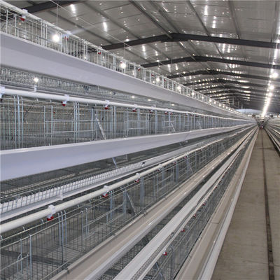 20 de grelha da galinha da gaiola anos de ventilação e temperatura do controlo automático