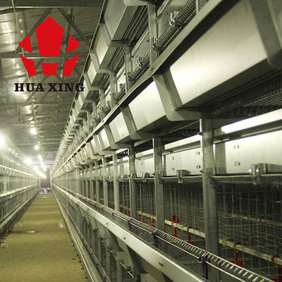 Gaiola automática da galinha de grelha para os bens animais dos rebanhos animais da agricultura das aves domésticas