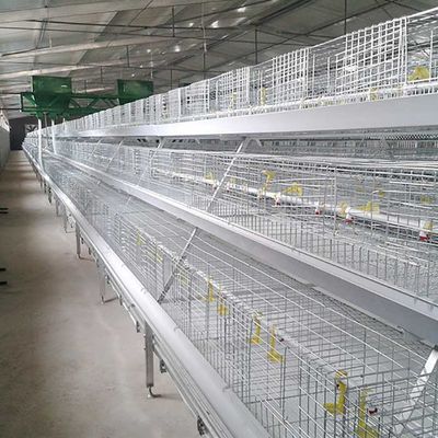 As aves domésticas resistentes à corrosão mergulham a gaiola, gaiola à terra durável do alimentador do pássaro