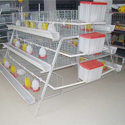 Um tipo 198 pássaros mergulha o equipamento de cultivo das aves domésticas da gaiola da galinha