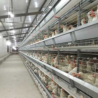 economia Labor Eco de controlo automático da gaiola da galinha das aves domésticas de 120 * de 60 * 70cm amigável