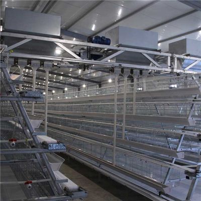 Alimentador de alta velocidade durável da exploração avícola, distribuidor automático do alimento da galinha