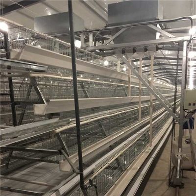 Do sistema automático do alimentador das aves domésticas da exploração agrícola da grande escala velocidade de transtorte rápida