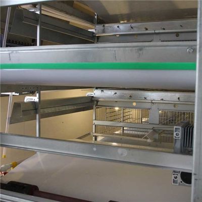 Equipamento da limpeza da exploração avícola de 4 séries, equipamento agrícola automático de galinha