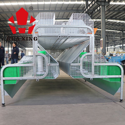 Exploração agrícola fêmea galvanizada quente do coelho da gaiola das aves domésticas do metal animal da gaiola que produz gaiolas em kenya