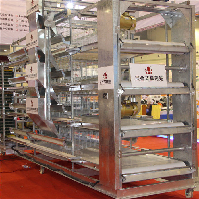 Tipo 4 bebê Chick Cage Hot Galvanized Steel de H da porta da camada 4