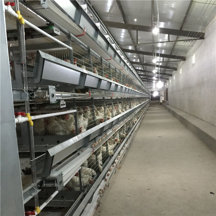 Gaiola animal galvanizada mergulhada quente da bateria automática do quadro de H/gaiola camada da galinha/gaiola de bateria camada da galinha para a venda