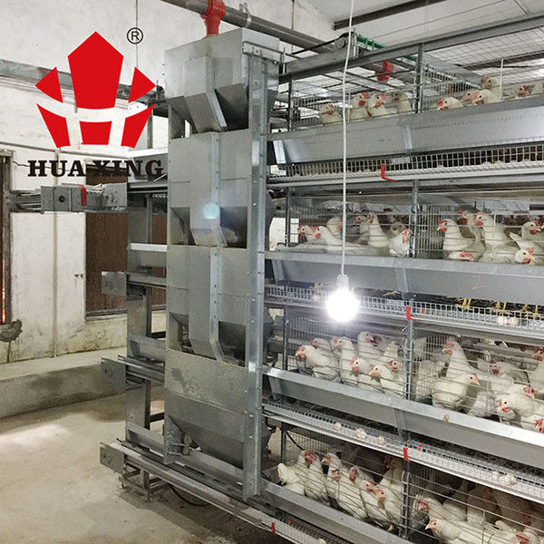 Alimentador automático da água da estrutura racional para galinhas/alimentador automático das aves domésticas para a grelha