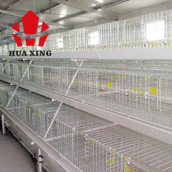 Fácil material mergulhado quente da rede de arame da gaiola comercial da galinha das aves domésticas instalar