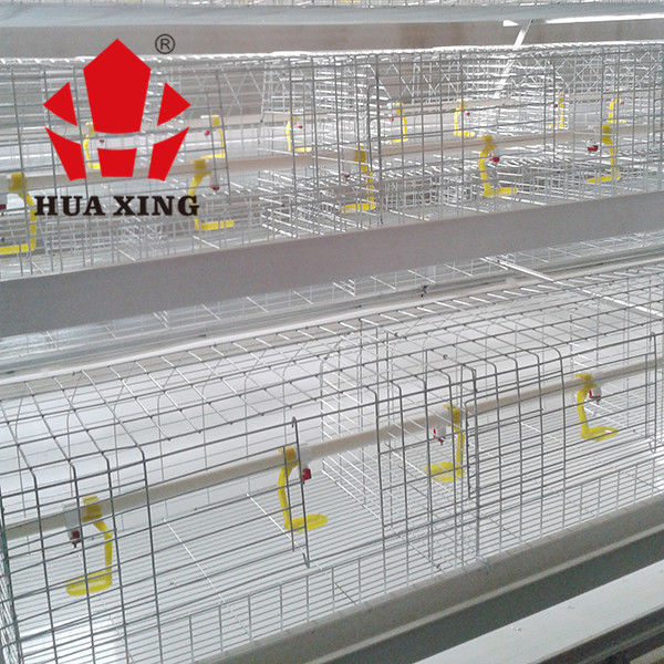 Fácil material mergulhado quente da rede de arame da gaiola comercial da galinha das aves domésticas instalar