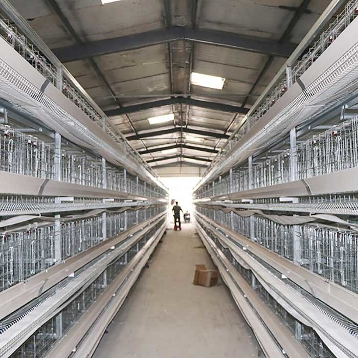 3 / gaiola da exploração avícola da camada de 4/5 séries, gaiolas feitas sob encomenda da galinha de bateria do poder