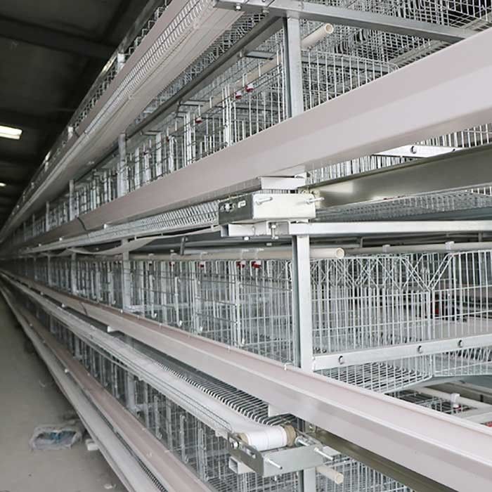 Gaiolas de bateria galvanizadas de Wrie para galinhas poedeiras, economia Labor da gaiola da galinha do ovo