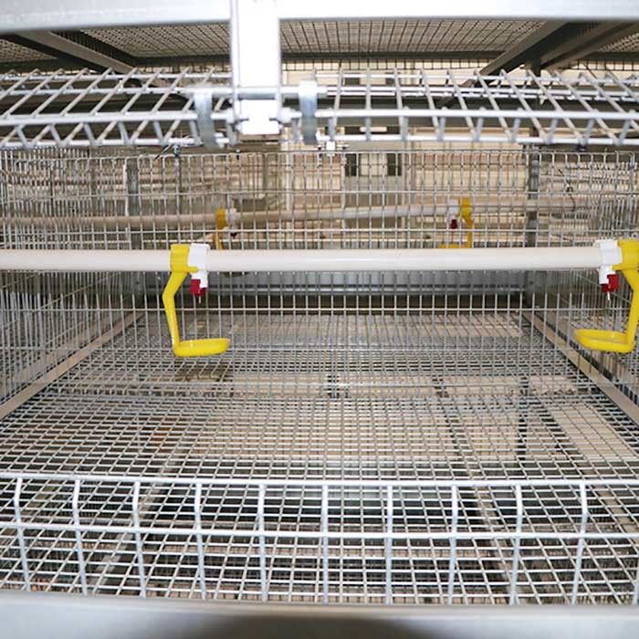 Gaiola da exploração avícola da resistência do envelhecimento, sistema da gaiola de bateria de três séries para grelhas