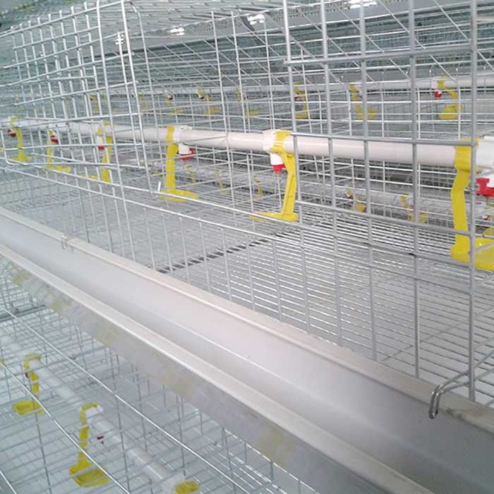 Durabilidade alta das portas das séries 8 da gaiola 4 da galinha das aves domésticas dos rebanhos animais da agricultura