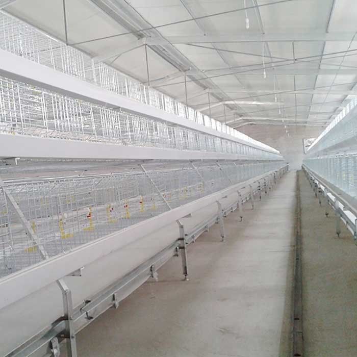 Durabilidade alta das portas das séries 8 da gaiola 4 da galinha das aves domésticas dos rebanhos animais da agricultura