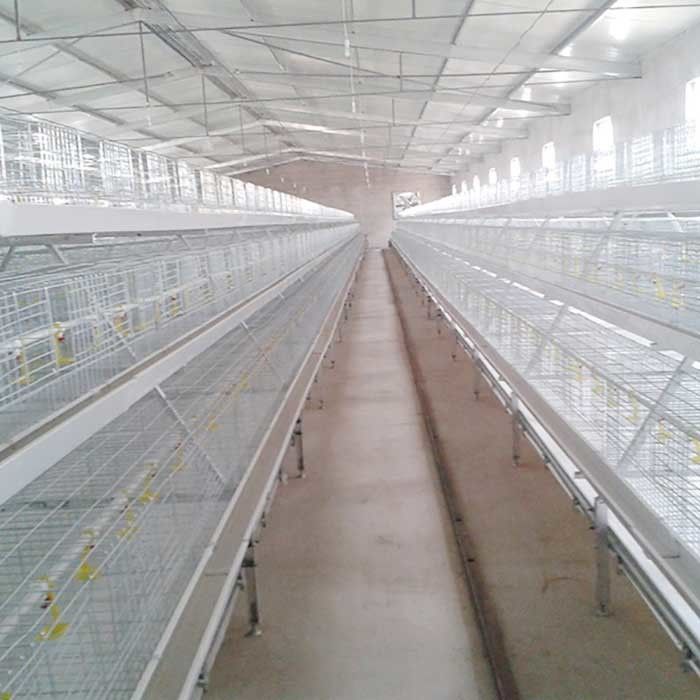 As aves domésticas resistentes à corrosão mergulham a gaiola, gaiola à terra durável do alimentador do pássaro