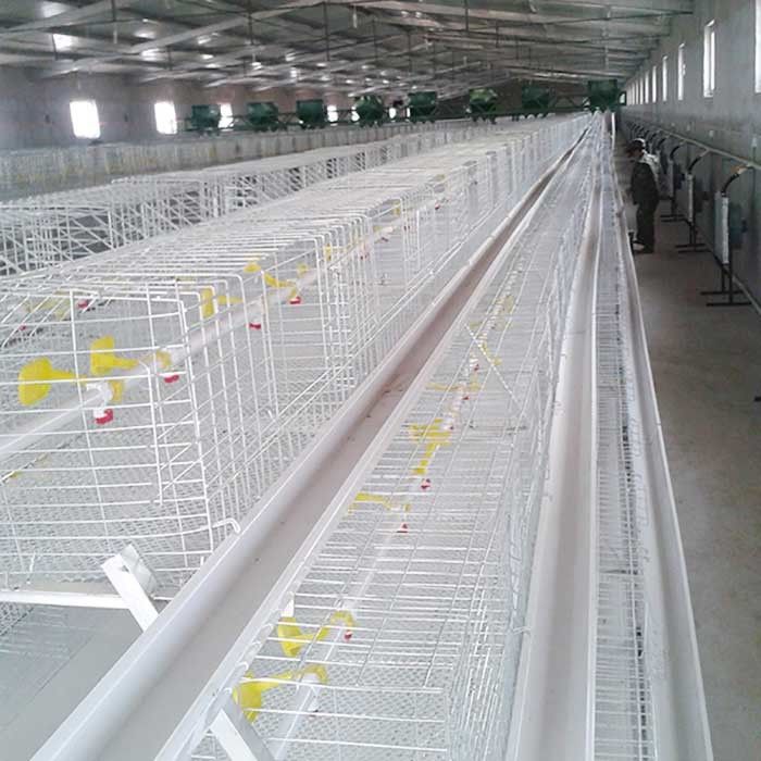 Gaiolas comerciais feitas sob encomenda da galinha da carne, Chick Breeding Cage durável