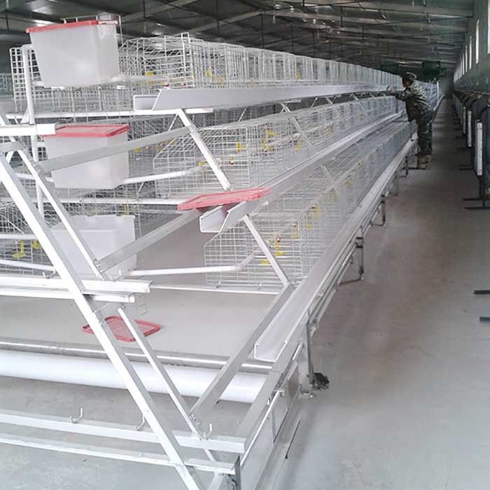 Gaiolas comerciais feitas sob encomenda da galinha da carne, Chick Breeding Cage durável