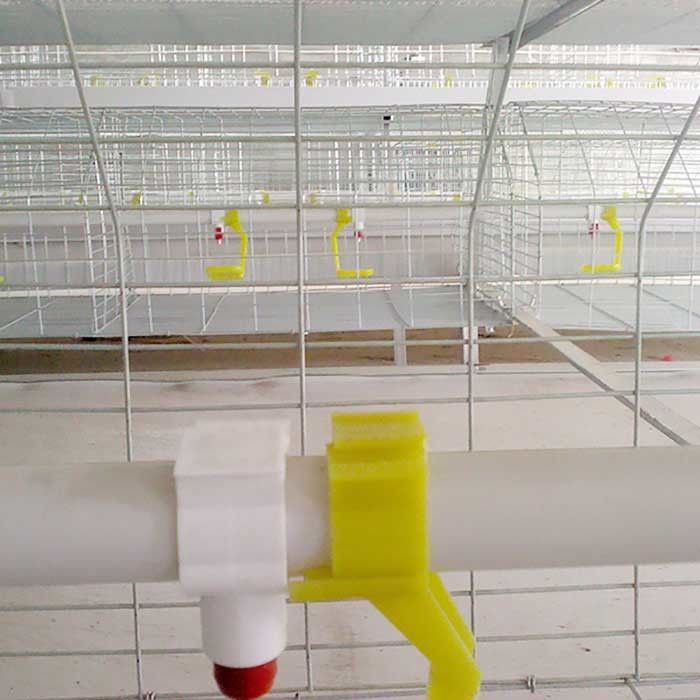 Gaiolas comerciais feitas sob encomenda da galinha da carne, Chick Breeding Cage durável