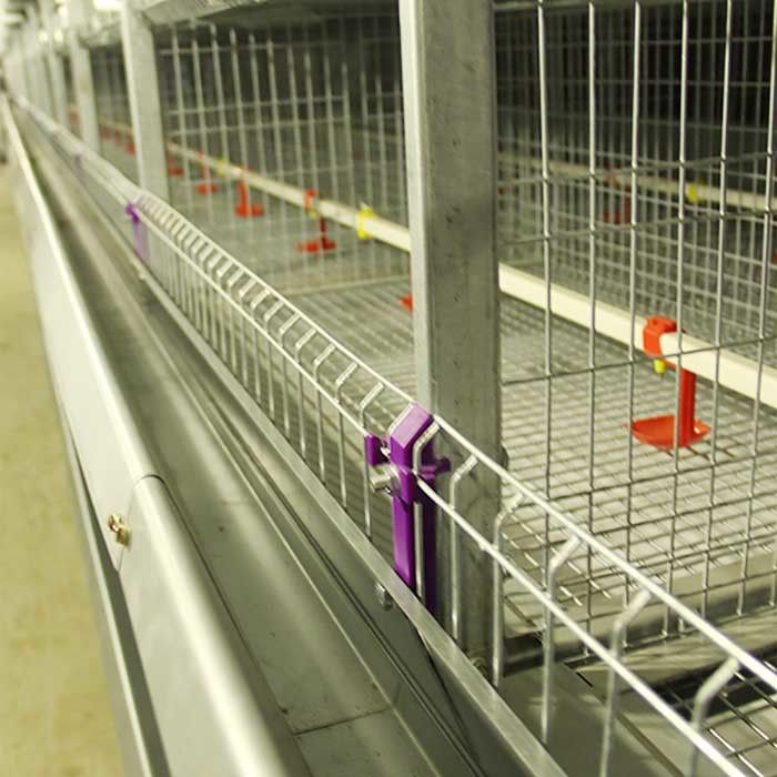 Gaiola automática para pintainhos, gaiola da exploração avícola da camada da capacidade de 264 pássaros