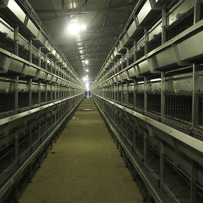 gaiola para pintainhos, 24 gaiolas da chocadeira de 195 * de 50 * 35cm do isolamento da galinha das portas