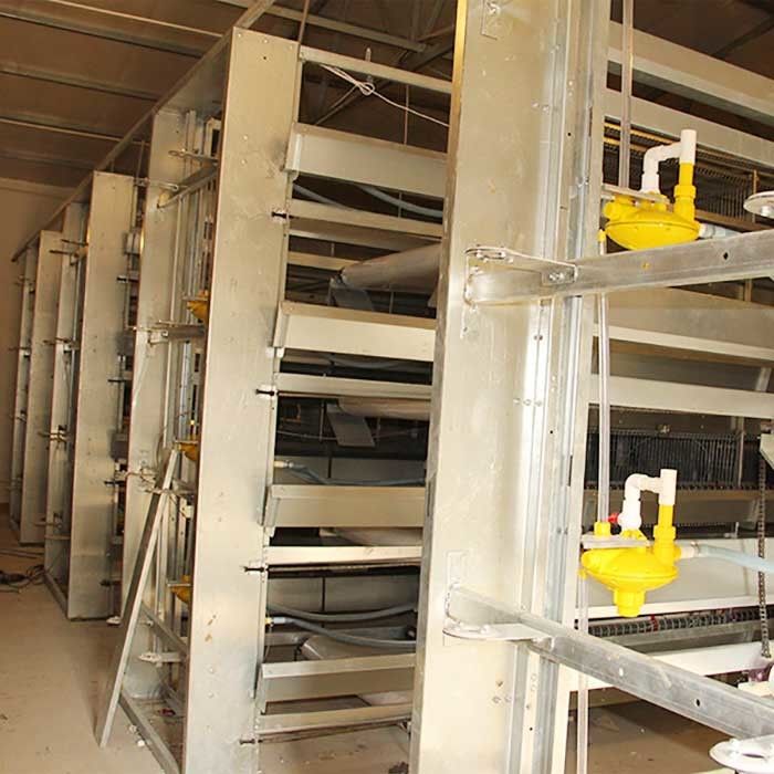 Tipo 4 gaiolas modernas de H das aves domésticas da série, 120CM fácil instalar gaiolas da galinha da construção