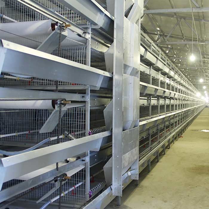 Tipo 4 gaiolas modernas de H das aves domésticas da série, 120CM fácil instalar gaiolas da galinha da construção
