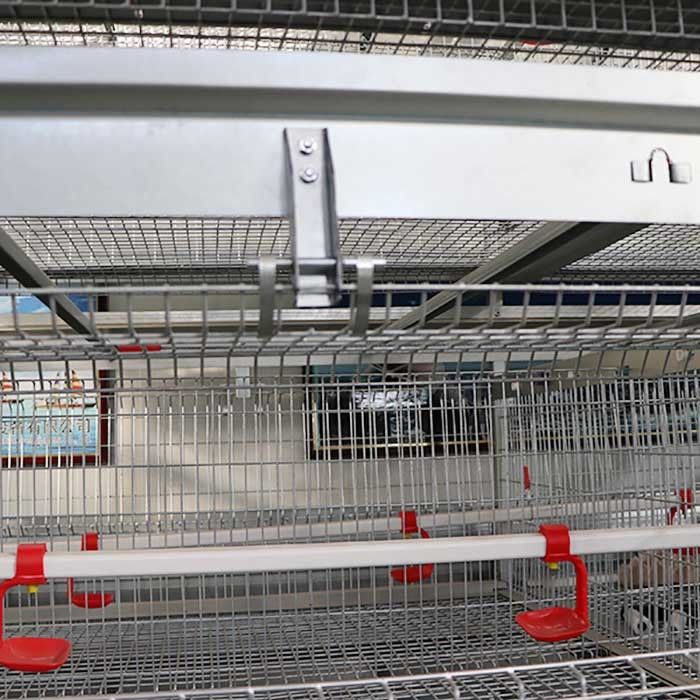 Serviço moderno comercial da personalização das portas da grande capacidade 8 da gaiola do pintainho do bebê
