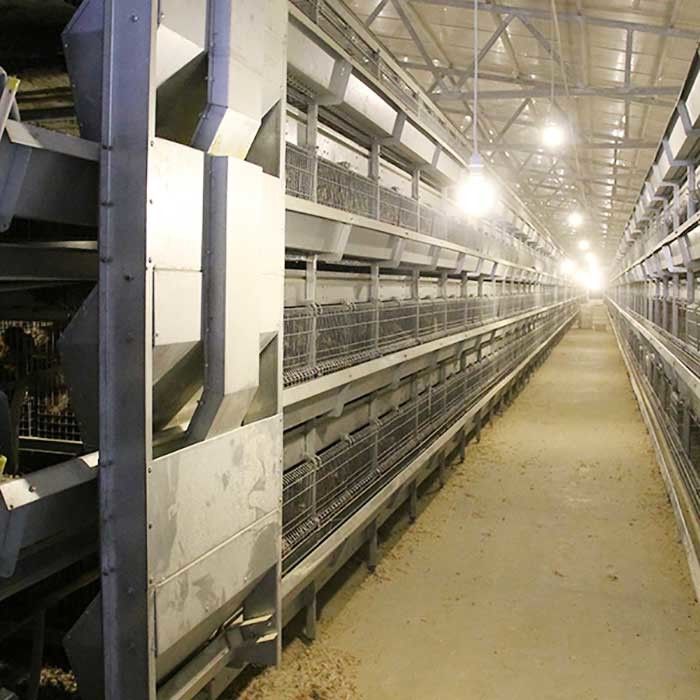 Sistema de alimentação manual gaiola da galinha de 45 dias, pintainho de 3 séries que eleva a gaiola