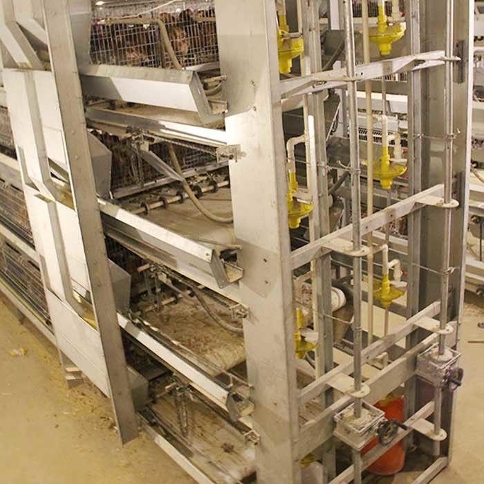 Serviço moderno comercial da personalização das portas da grande capacidade 8 da gaiola do pintainho do bebê