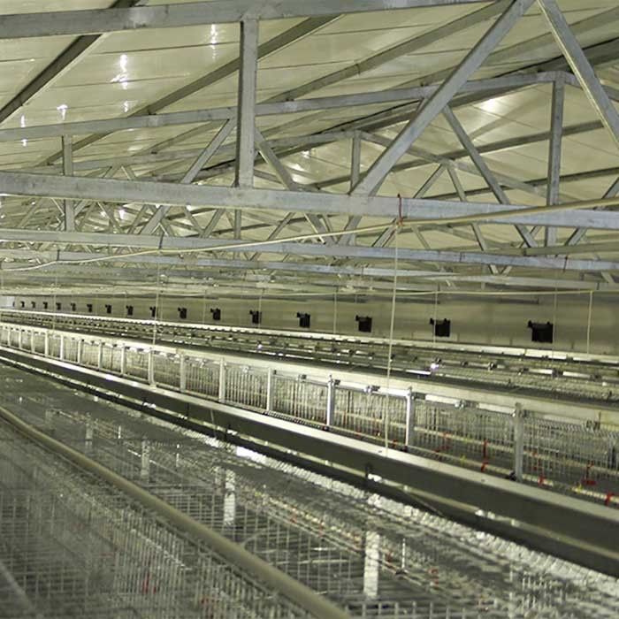 Equipamento de cultivo das aves domésticas da bateria, tipo durável 192 gaiola de H da galinha do bebê