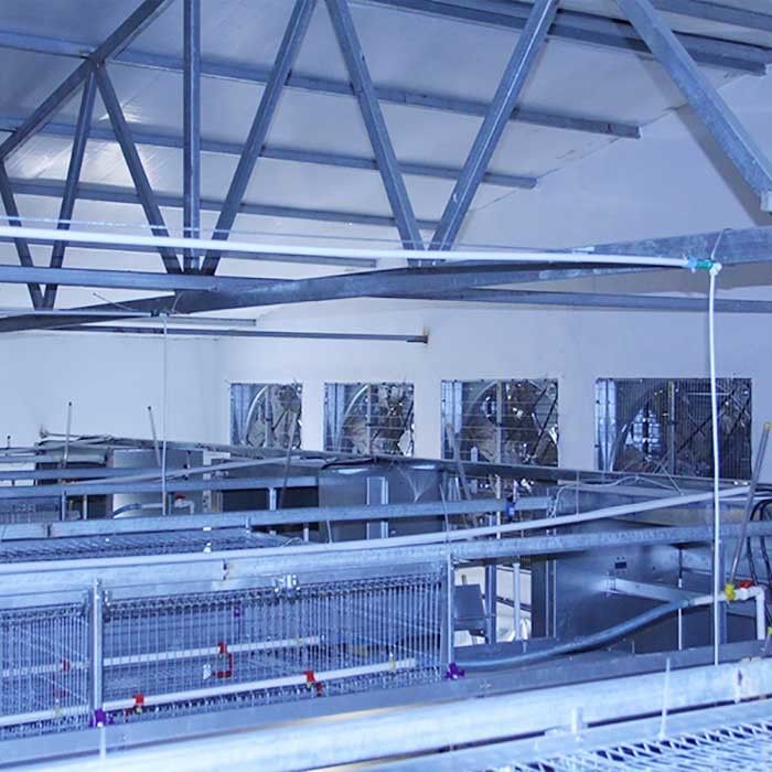 Equipamento de cultivo das aves domésticas da bateria, tipo durável 192 gaiola de H da galinha do bebê