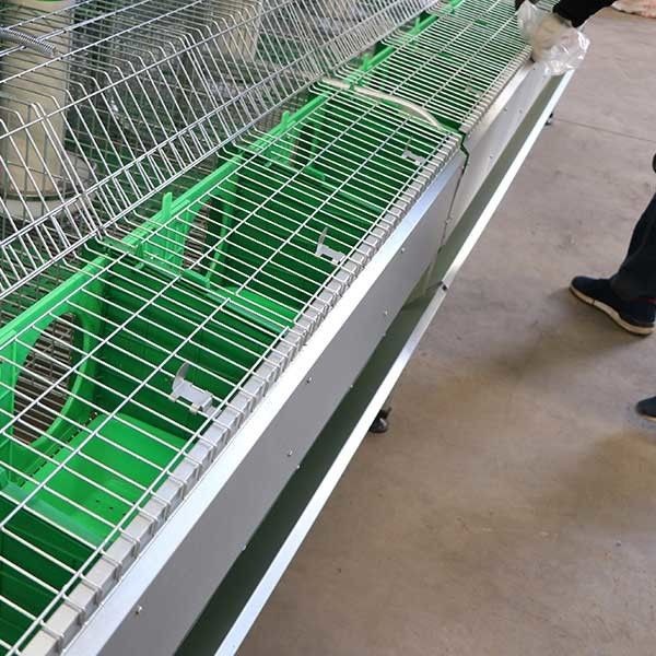 Baixa gaiola do coelho da série do dobro da taxa de mortalidade, acima dos coelhos dos bebês da série 50 - 80 nas gaiolas