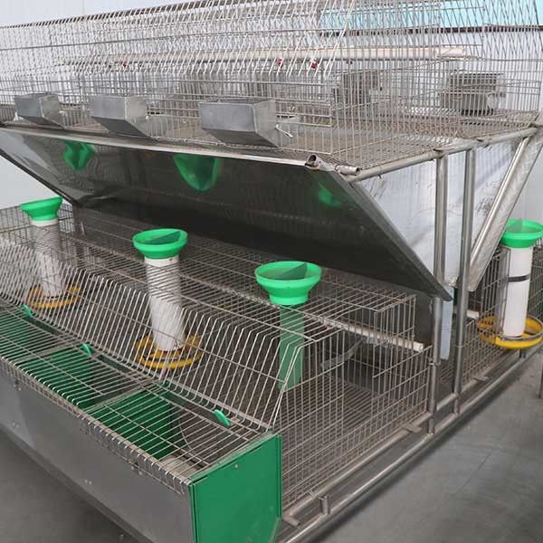 Manutenção fácil do grande auto desempenho estável da gaiola do coelho da exploração agrícola da limpeza