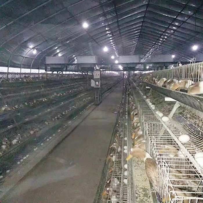 Uma exploração avícola de Duck Breeding Farming Cage For da camada da galinha do quadro