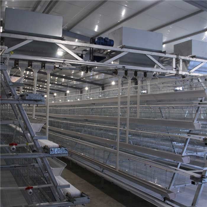 Alimentador de alta velocidade durável da exploração avícola, distribuidor automático do alimento da galinha