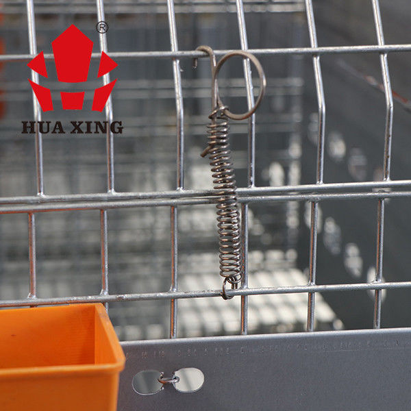 Exploração agrícola fêmea galvanizada quente do coelho da gaiola das aves domésticas do metal animal da gaiola que produz gaiolas em kenya