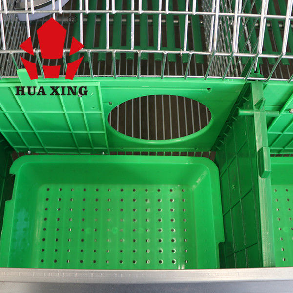 Exploração agrícola fêmea galvanizada quente do coelho da gaiola das aves domésticas do metal animal da gaiola que produz gaiolas em kenya