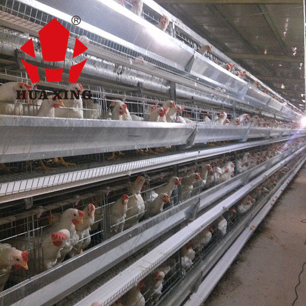 Gaiola de colocação galvanizada quente de Hen Farming Equipments Layer Chicken dos pássaros do fabricante 90 - 160 da gaiola