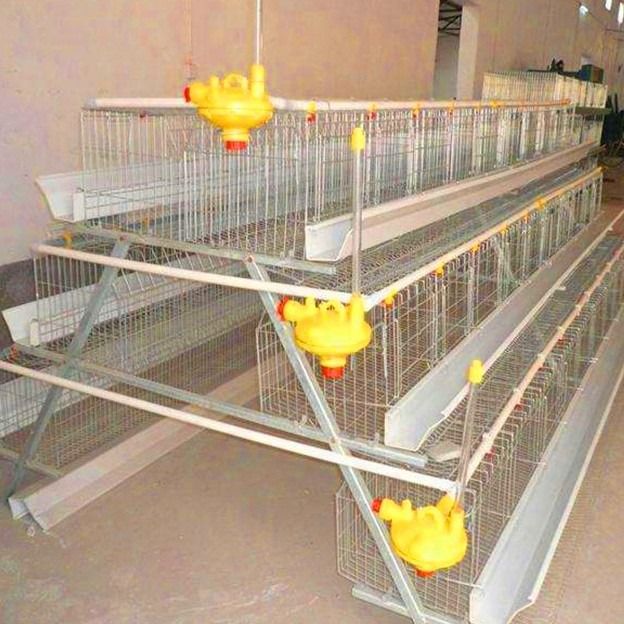 195*35*38cm 90 pássaros mergulham o equipamento de exploração avícola da gaiola da galinha