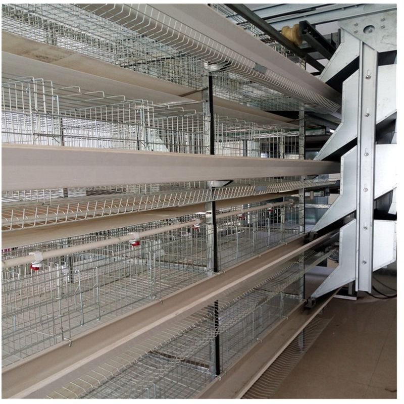 H datilografa a 128 pássaros o equipamento de cultivo das aves domésticas da gaiola de bateria de 4 camadas