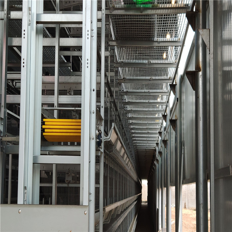 Tipo pássaros da gaiola de pássaro 192 da camada/resistência das séries H das aves domésticas 6 de corrosão ajustada