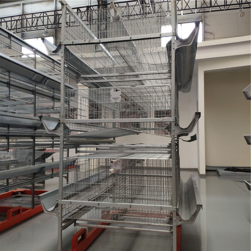 Wrie galvanizado que coloca Hen Cages 160 pássaros/ajustou a coleta do ovo